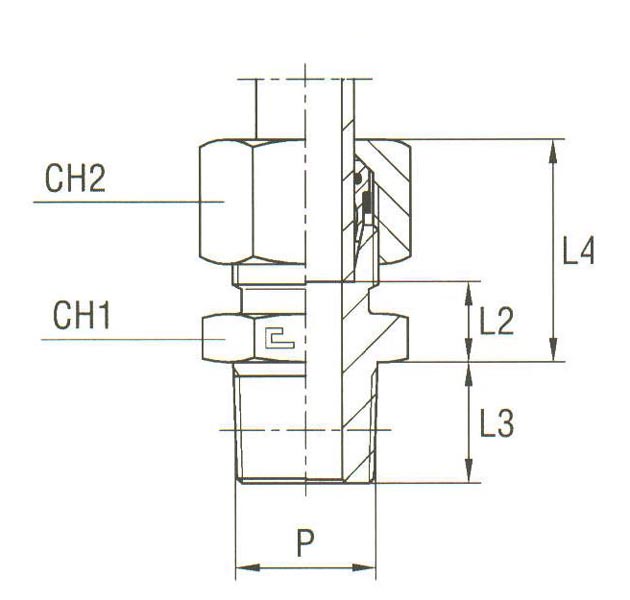 Male Stud Coupling Thread NPT - Equipped B4 Ring - Image 2