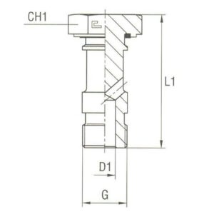 Banjos Bolts Thread BSP Parallel