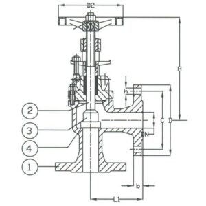 PN 40 Cast Steel Angle Regular Valve