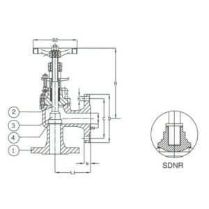 PN 40 Cast Steel Angle SDNR Valve
