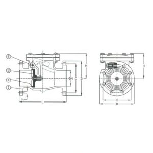 PN 16 Cast Iron Swing Check Valve