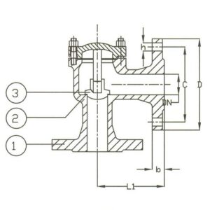 PN 40 Cast Steel Lift Check Angle Pattern Valve
