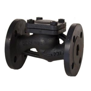 PN 16 Cast Iron Lift Check Globe Pattern Valve