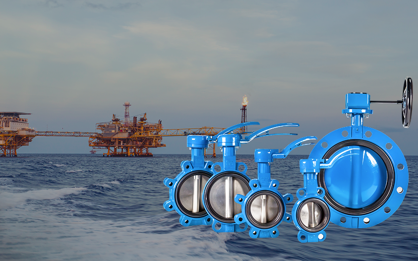 Comprehensive Guide to the Installation and Maintenance of Blind Flanges